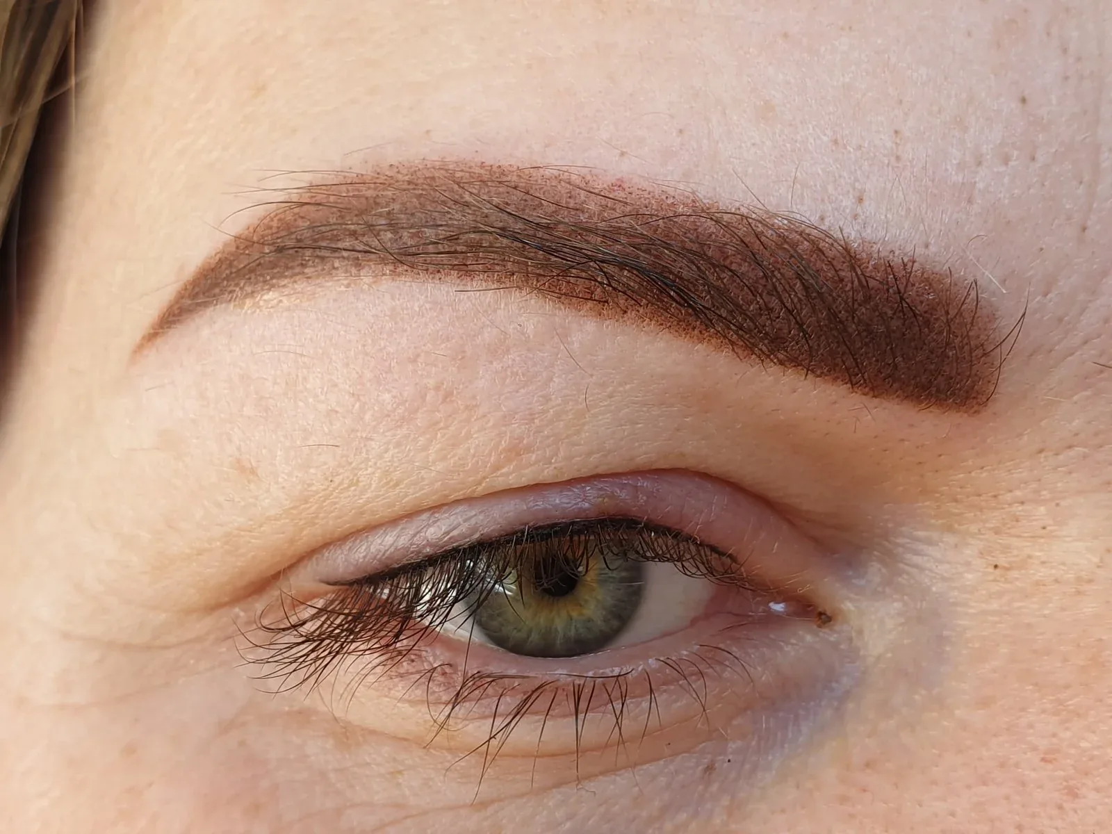 Healed combination brow in a warm brown with a fine lash line enhancement below