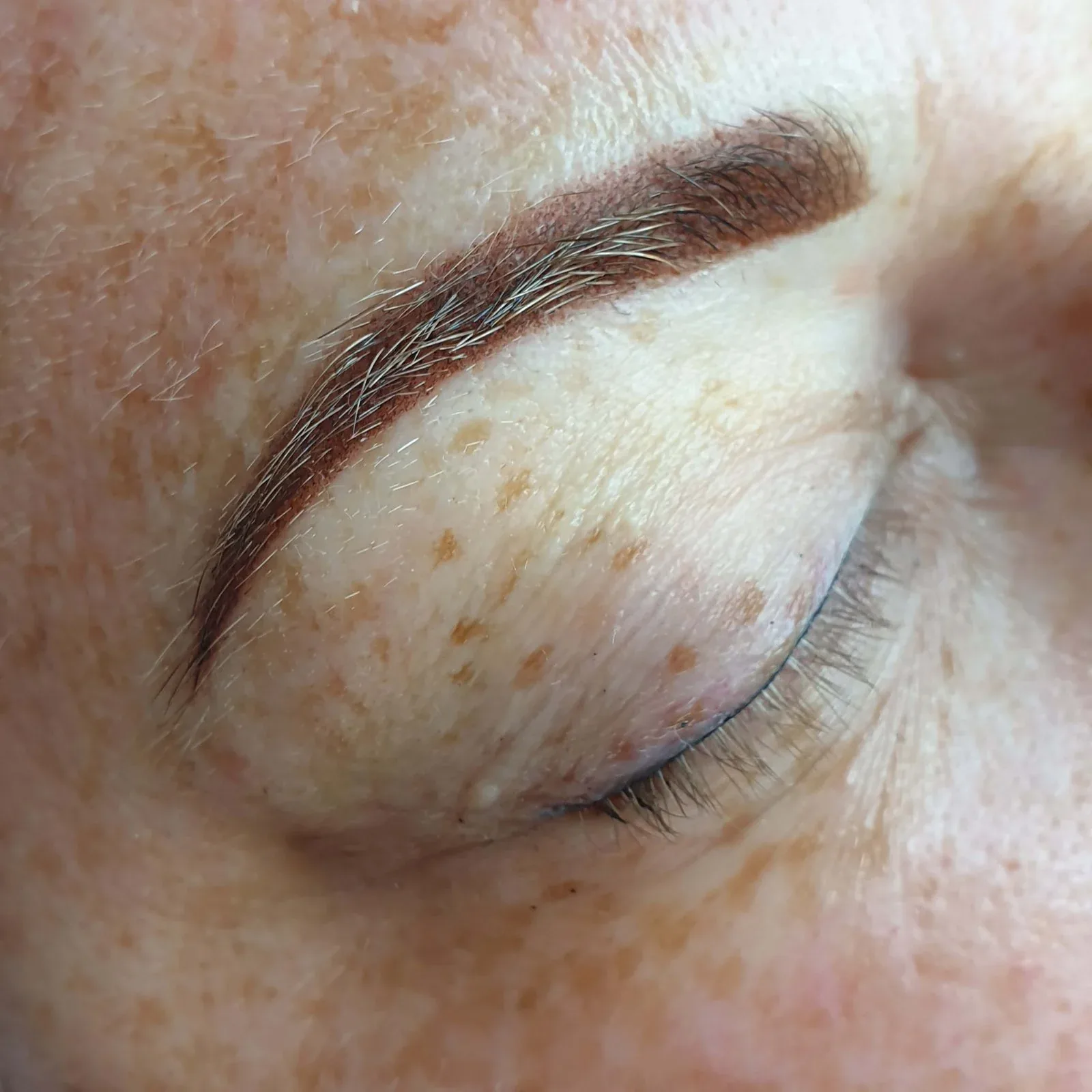 Healed ombre brow on freckled fair skin, blending softly at the front