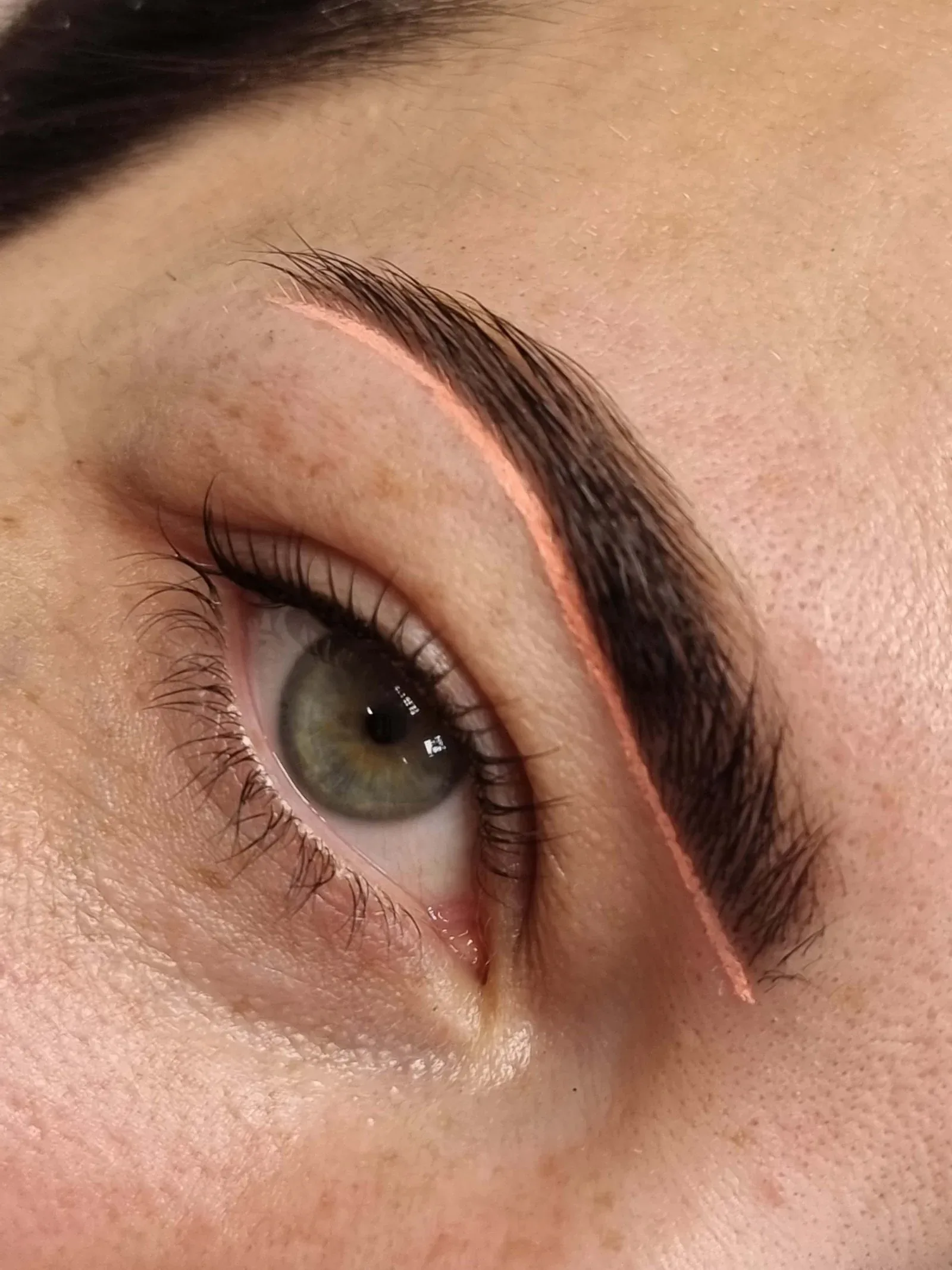 Close-up of a freshly tinted brow with the shape mapped out and lifted lashes below